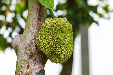 索尼：如果收购成功 不会向动视提供PS6信息